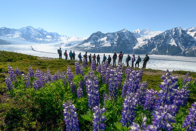 Alaska Heli Hiking - ANCHORAGE AREA - Where You Start at Alaska Glacier Lodge (and Why That Matters)