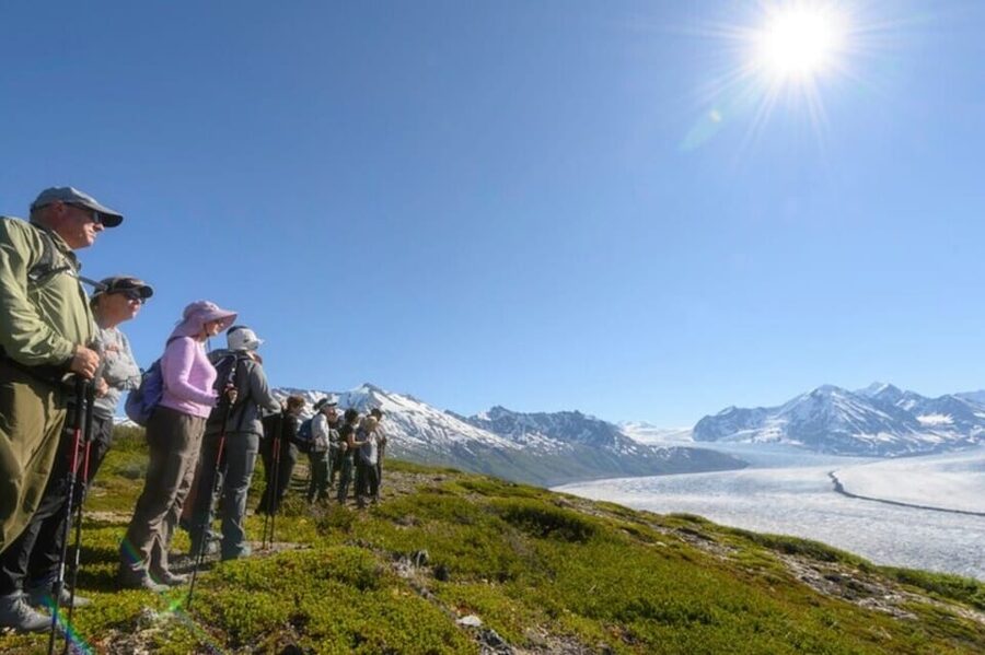 Anchorage: Grand Knik Glacier Helicopter Tour with Landings - The deep blue melt pools and the glacier life-cycle lesson