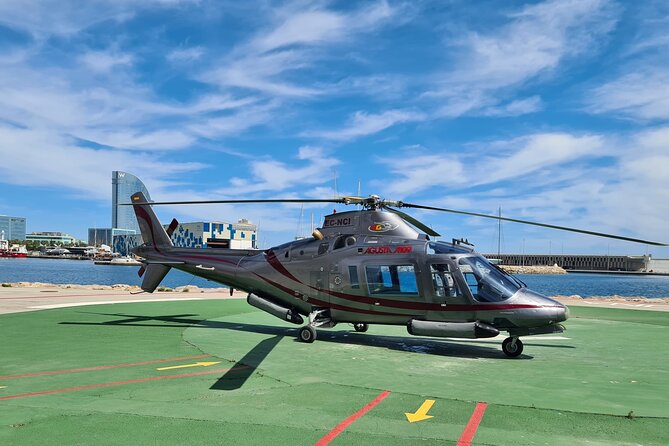 Barcelona's Panoramic Helicopter Flight & Heliport Boat Transfer - The 15-minute Port Vell boat transfer: easy sea views before takeoff