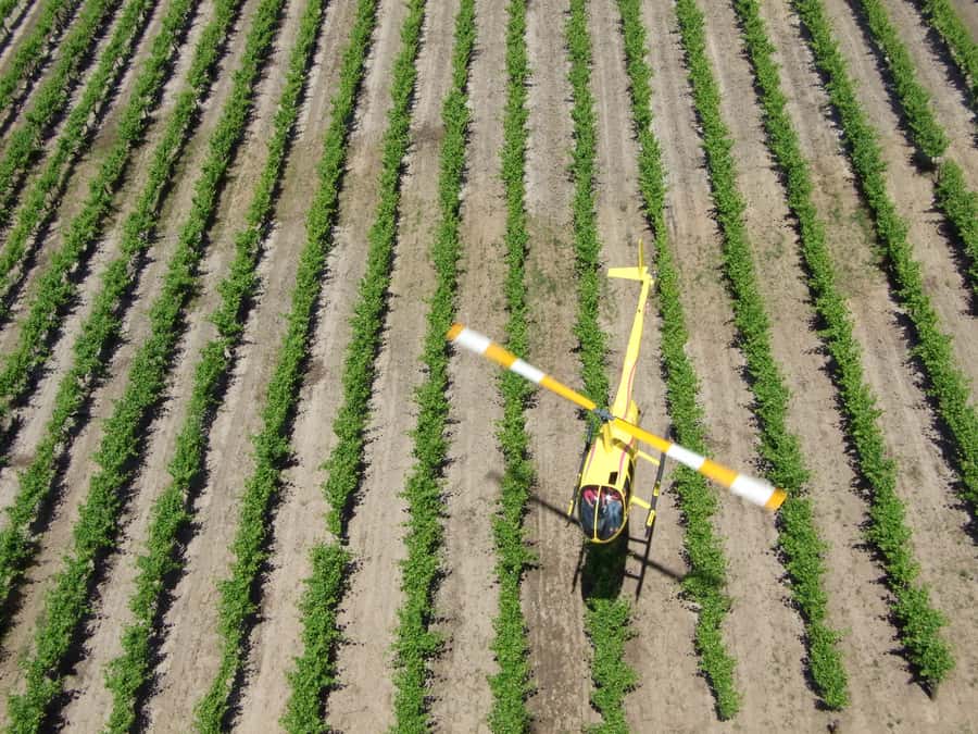 Barossa Valley: 10-Minute Scenic Helicopter Flight - Safety Briefing and the Crew Photo Moment