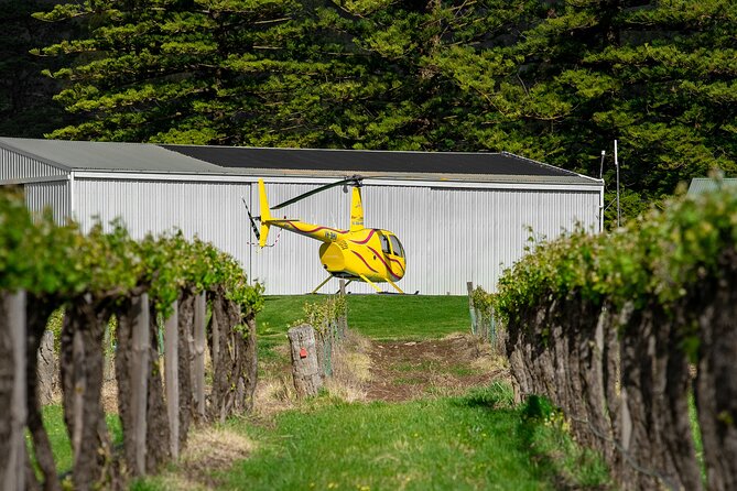 Barossa Valley Deluxe: 30-Minute Helicopter Flight - Flying over iconic wineries: what you’ll likely spot from the air