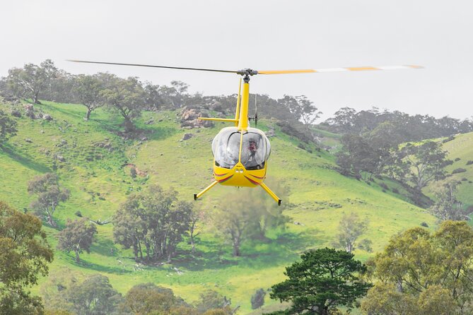 Barossa Valley Deluxe: 30-Minute Helicopter Flight - Boarding and seating: a private flight with rules that keep it comfortable
