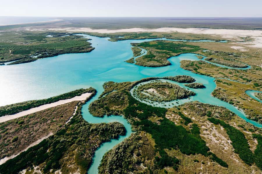 Broome: Helicopter Flight and Willie Creek Pearl Farm Tour - Willie Creek Pearl Farm tour: how cultured pearls are really produced