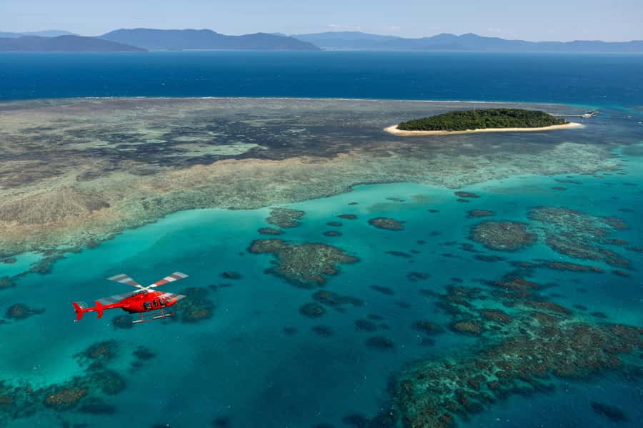 Cairns: Great Barrier Reef 30-Minute Helicopter Flight - Wildlife spotting from above: what to scan for, and when