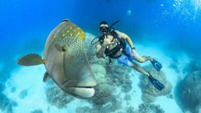 Cairns: Great Barrier Reef Cruise & Scenic Helicopter Flight - Evolution Superyacht: Built for Comfort When the Sea Has Opinions