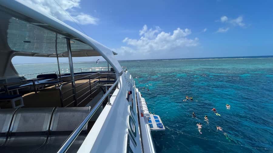 Cairns: Great Barrier Reef Cruise & Scenic Helicopter Flight - Food, Snacks, and the Wine-and-Cheese Return