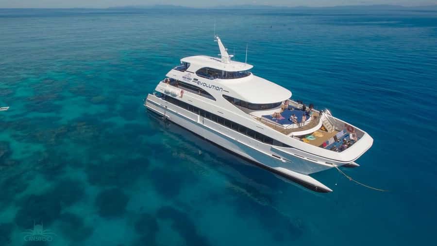 Cairns: Great Barrier Reef Cruise & Scenic Helicopter Flight - Safety, Briefings, and the Stinger Suit Factor