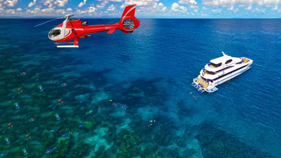 Cairns: Great Barrier Reef Cruise & Scenic Helicopter Flight - Who This Trip Fits (and Who Should Reconsider)