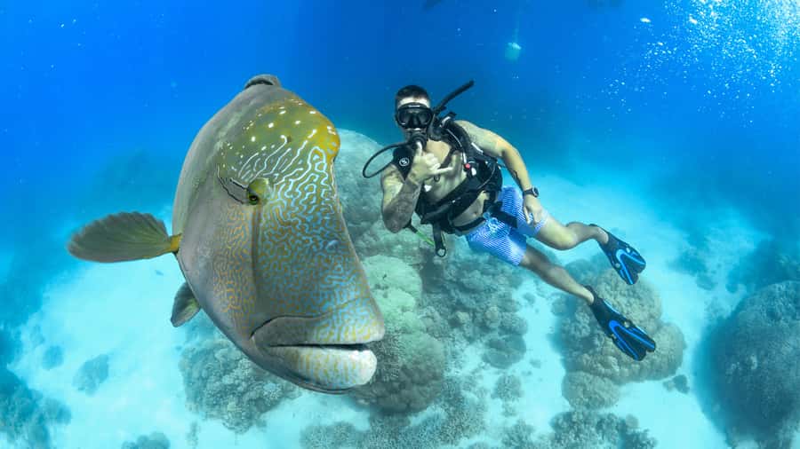 Cairns: Great Barrier Reef Cruise & Scenic Helicopter Flight - Evolution Superyacht: Built for Comfort When the Sea Has Opinions