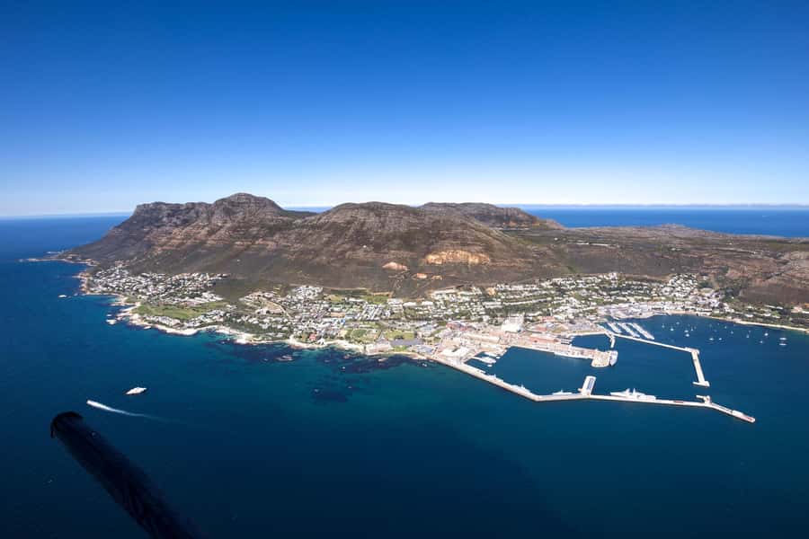 Cape Town to Cape Point Helicopter Flight - 48Min - Price and Value: Is $616 Per Person Worth It?