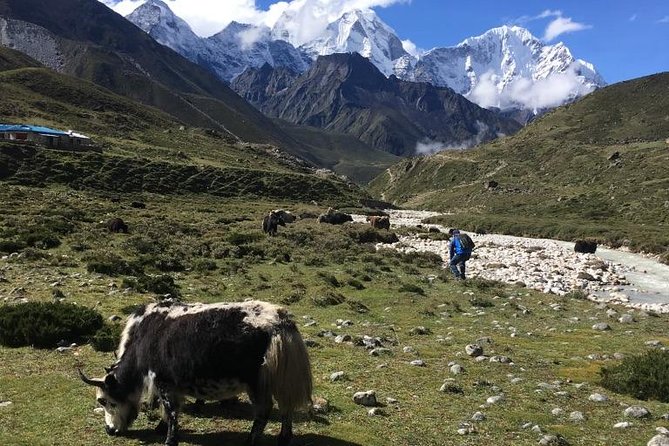 Everest Base Camp Helicopter Tour landing at Everest View Hotel - Price and value: is $1,575 really worth it?