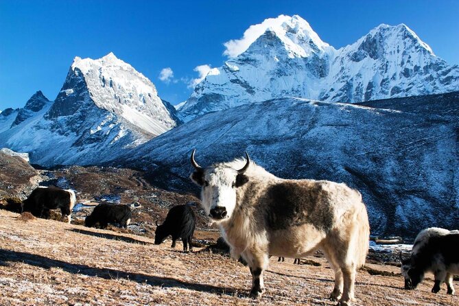 Everest Helicopter Tour - Key Points to Know Before You Go