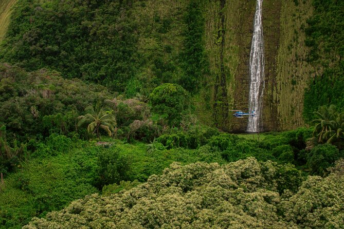 Exclusive Landing with Spectacular Big Island Helicopter Tour - Hawaii Volcanoes National Park from above: height, zones, and scale