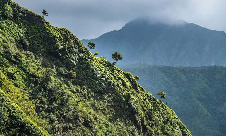 From Princeville: Discover Kauai Helicopter Tour - Why Princeville’s 45-Minute Helicopter Flight Works So Well