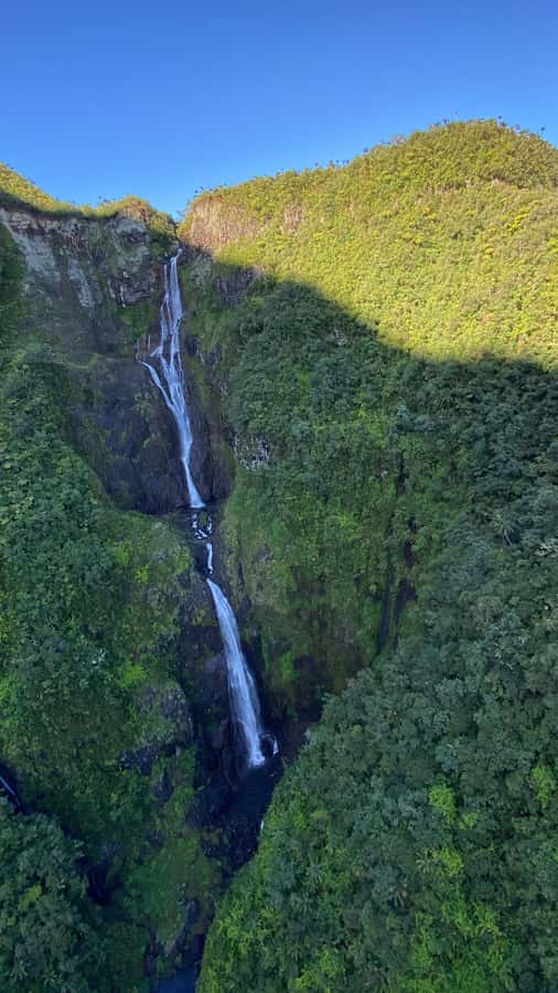 From St Pierre: helicopter flight over the whole of Reunion Island - Trou de Fer and Forêt de Bélouve: chasm views and forest texture