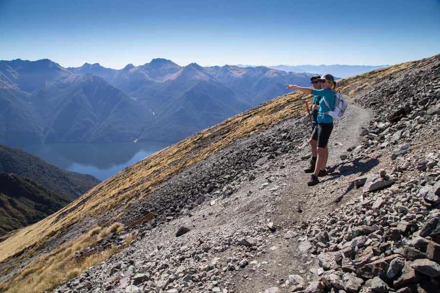 From Te Anau: Full Day Kepler Track Guided Heli-Hike - The alpine herb fields, then beech forest shifts