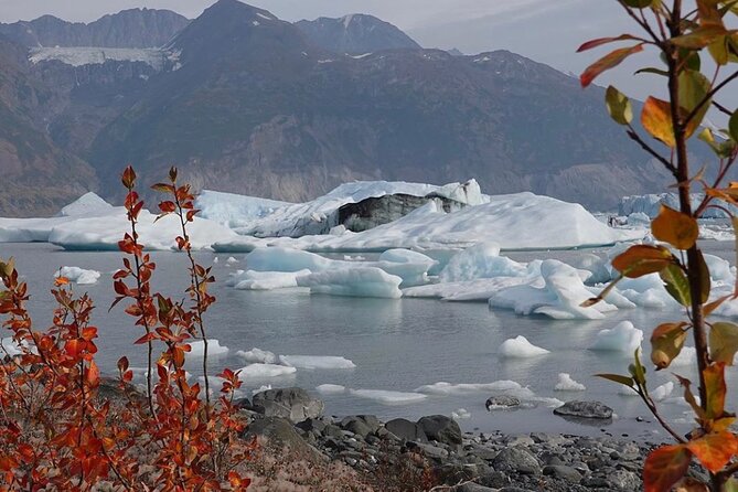 Grand Knik Helicopter Tour - 2 hours 3 landings - ANCHORAGE AREA - Should you book the Grand Knik Helicopter Tour?
