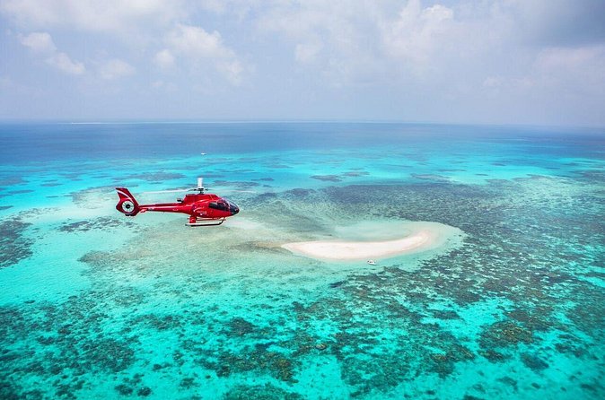 Great Barrier Reef 30-Minute Scenic Helicopter Tour from Cairns - Flying the Great Barrier Reef: coral, fish schools, and possible wildlife
