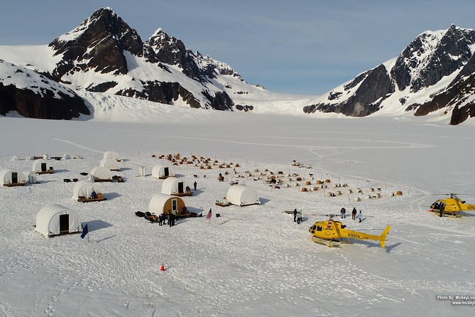 Helicopter To a Dogsledding Experience - Key Highlights You’ll Actually Notice