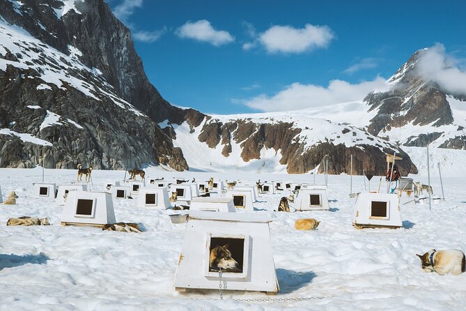Helicopter To a Dogsledding Experience - What You’re Paying For: The Real Price Value at $727