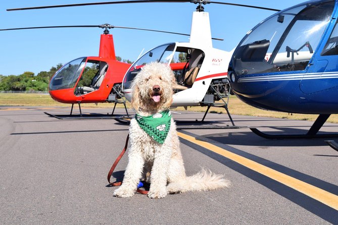 Helicopter Tour of Clearwater Beach and Belleair Country Club - Clearwater Airpark meeting point: simple start, minimal fuss