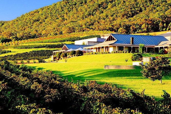 Hunter Express Helicopter Flight - Price and Value: Is $50.85 per Person Worth It?
