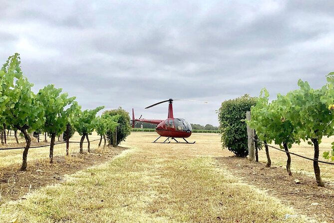 Hunter Valley Helicopter Tour with a Bubbly Breakfast - Safety Briefing and Quick Helicopter Photo Ops at Aero Logistics