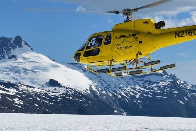 Juneau Shore Excursion: Helicopter Tour and Guided Icefield Walk - Who This Tour Suits Best (and Who Might Prefer Something Else)