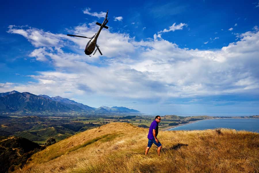 Kaikōura: 45-Minute Whale Watching Helicopter Tour - Which Whales and Dolphins Are on the Radar