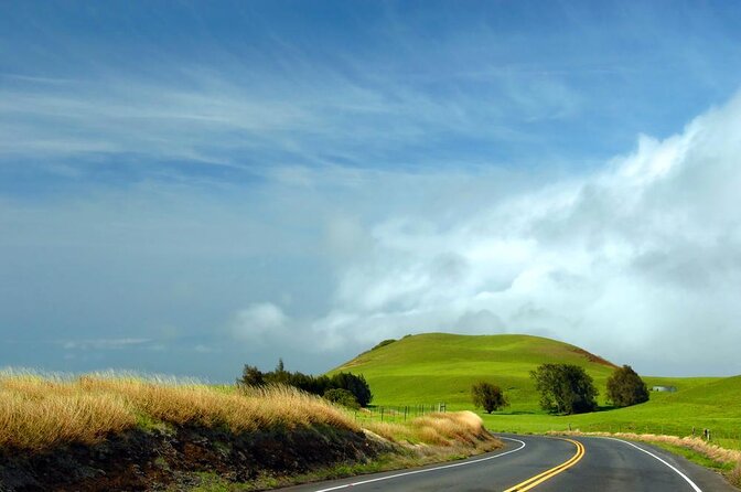 Kohala Waterfalls with Exclusive Landing Helicopter Tour - Why Kohala Falls feels different from a standard helicopter ride