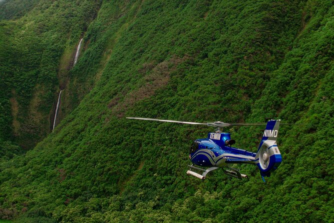 Kohala Waterfalls with Exclusive Landing Helicopter Tour - The Kohala Coast story from the air: ranching, valleys, and cowboy country
