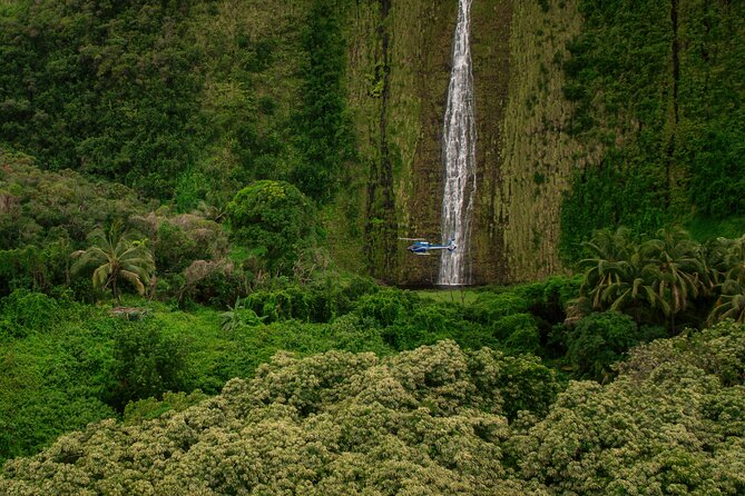 Kohala Waterfalls with Exclusive Landing Helicopter Tour - The west-coast beach stop: white sand from a new angle