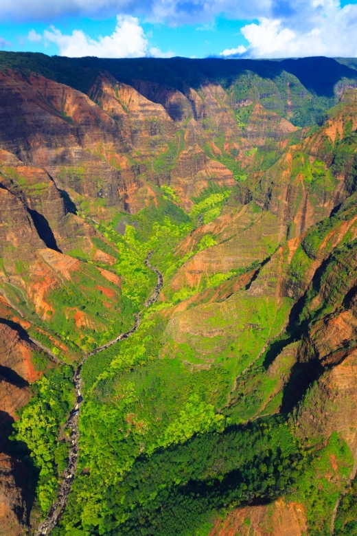 Lihue: Deluxe Waterfall Safari Helicopter Tour - Waialeale Crater Waterfalls: Jungle and Water Everywhere