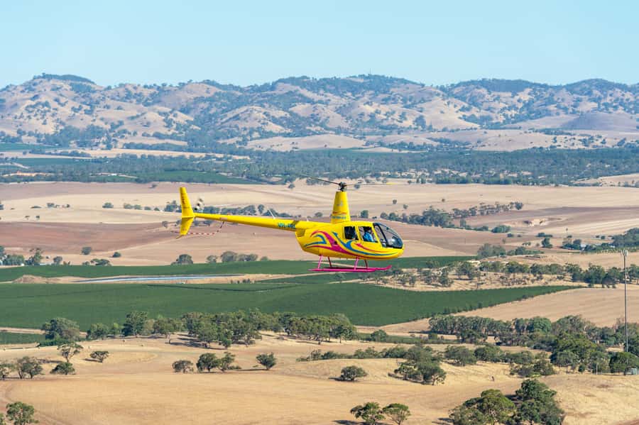 Lyndoch: Barossa Valley Helicopter Flight & Romantic Picnic - Key highlights you’ll feel right away