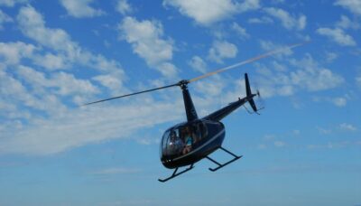 Miami: 20-Minute Private Helicopter Tour - The Atlantic-Wide Nature Scan: Manatees, Dolphins, and Sharks (If You’re Lucky)