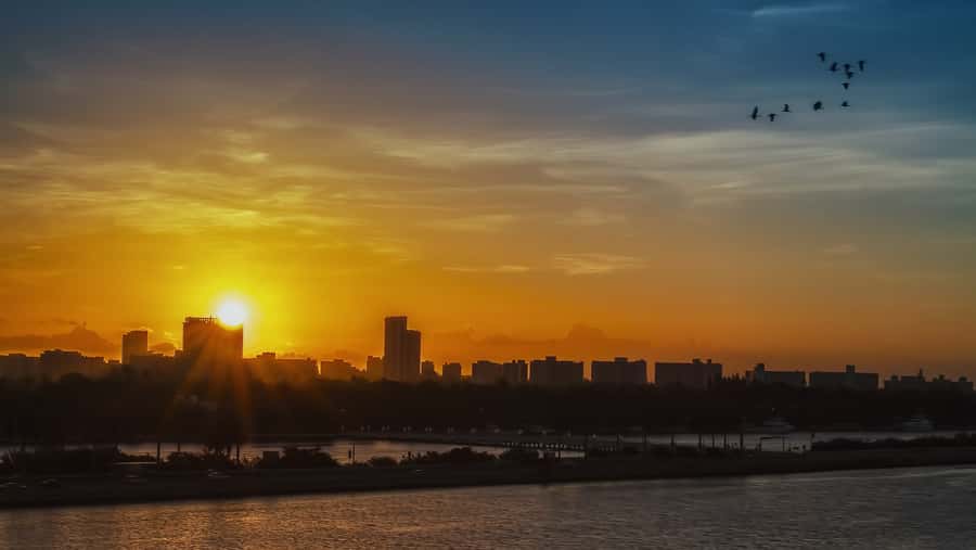 Miami: Private Sunset Helicopter Tour - The ride starts at Miami Executive Airport and goes full Robinson R44