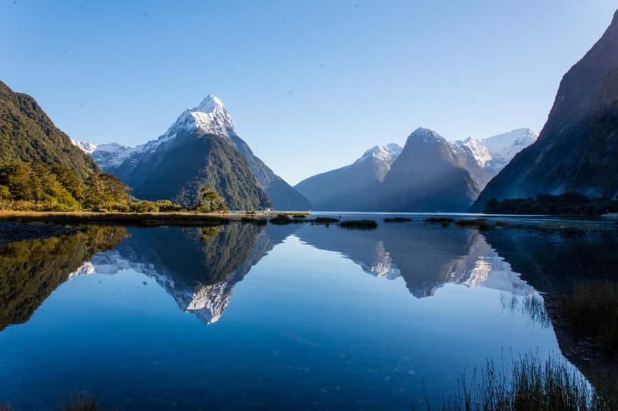 Milford Sound Scenic Helicopter Flight with Landing - Why a Milford Landing Flight Beats the Road