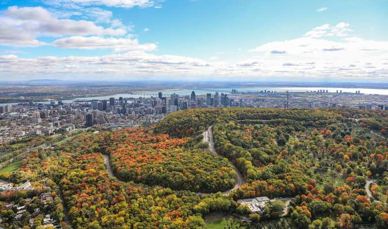 Montreal: Guided Helicopter Tour - Weather and Timing: The One Variable You Can’t Control