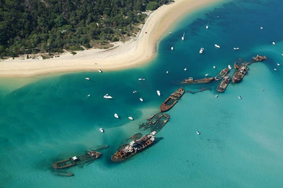 Moreton Island: Tangalooma Snorkel Tour with Helicopter Tour - Price and logistics: does $292 feel fair for a Brisbane day?