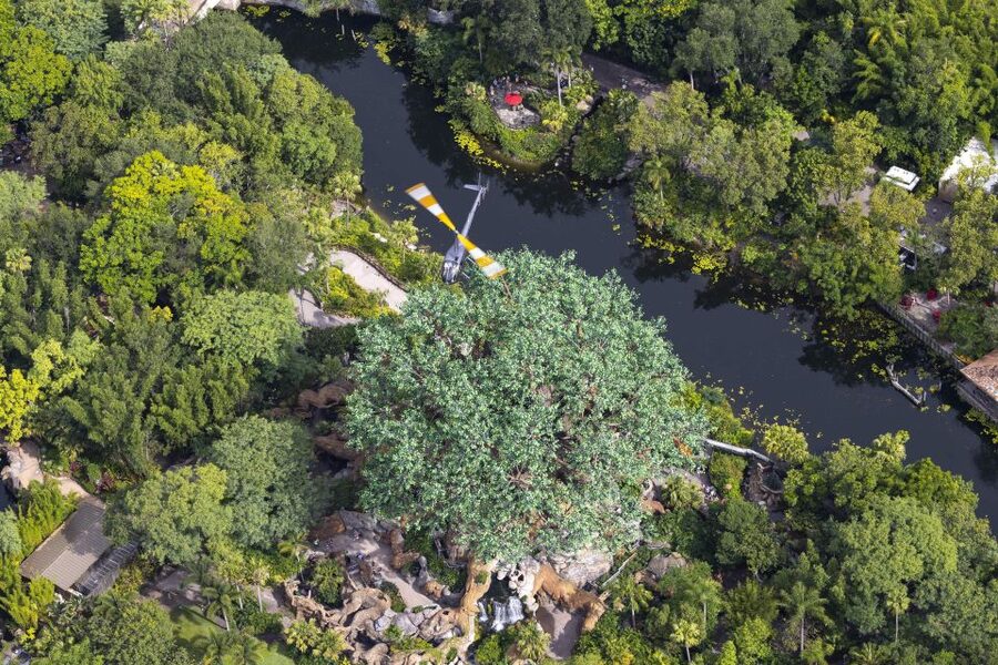 Orlando: Narrated Day Helicopter Flight Over Theme Parks - Duration and Timing: 20 Minutes to 1 Hour
