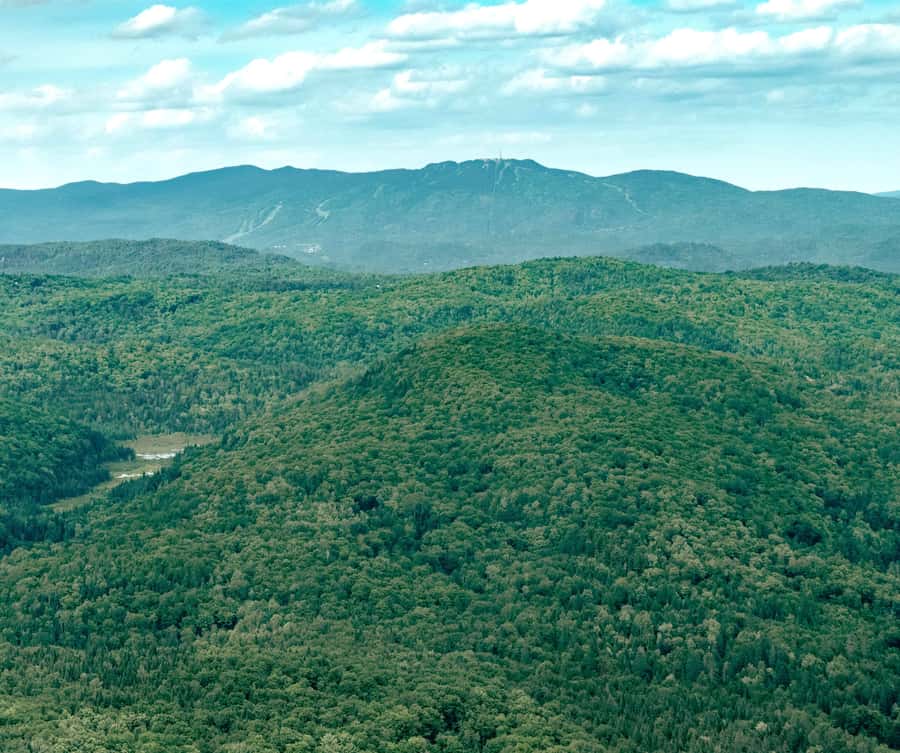 Ottawa: Panoramic helicopter flight (Gatineau Park + downtown) - Gatineau Park from above: nature with a capital nearby