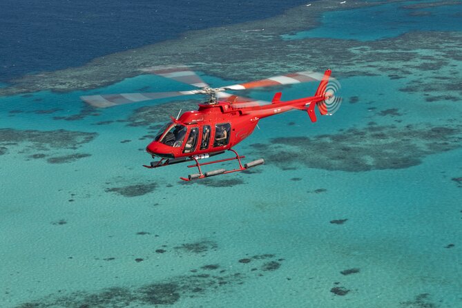 Private Helicopter Tour: Reef Island Snorkeling and Gourmet Picnic Lunch - Snorkeling setup: what’s included, and what to check