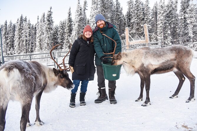 Reindeer and Heli Flightseeing Day Trip with Lunch - Key things to know before you go