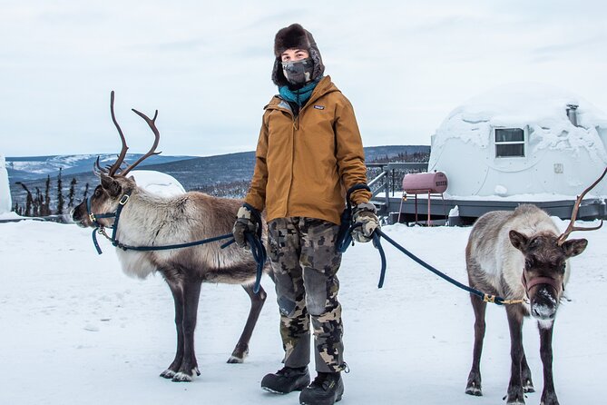 Reindeer and Heli Flightseeing Day Trip with Lunch - Lunch at Latitude 65: fuel, not an afterthought