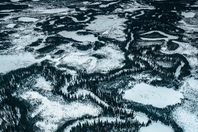 Reindeer and Heli Flightseeing Day Trip with Lunch - Price and value: is $225 worth it?