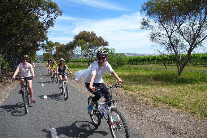 Southern Barossa: 10-Minute Helicopter Flight - Price and value: does $89.66 buy enough time?