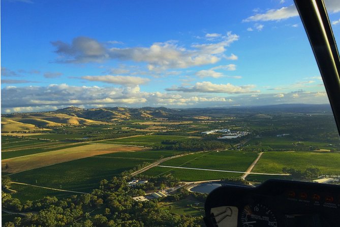 Southern Barossa: 10-Minute Helicopter Flight - Jacob’s Creek tank farm from above: the kind of detail you can’t fake