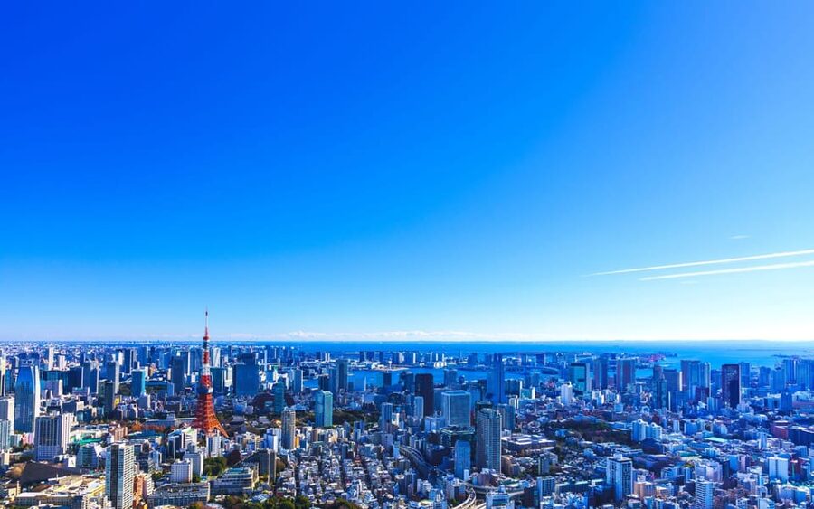 Tokyo: Guided Helicopter Ride - What you actually see from the air (and why it lands differently than photos)