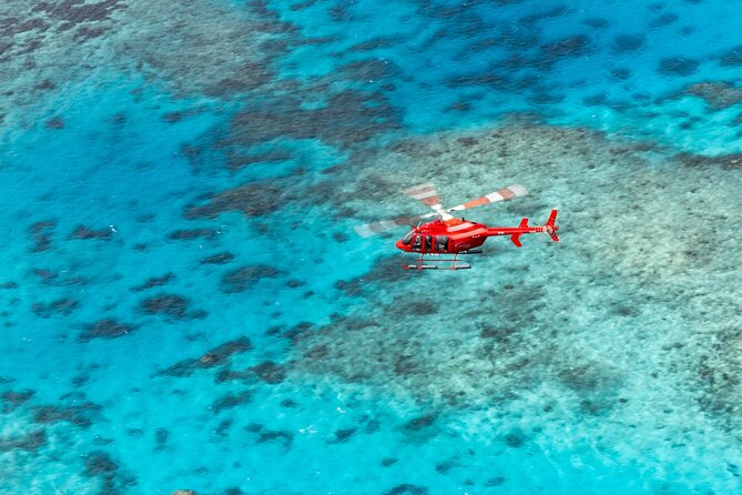 Ultimate Great Barrier Reef and Rainforest 45-minute Helicopter Tour - Why this 45-minute Great Barrier Reef and Rainforest flight feels like more