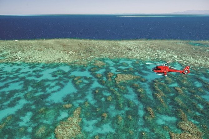 Ultimate Great Barrier Reef and Rainforest 45-minute Helicopter Tour - Price and what you actually get for it